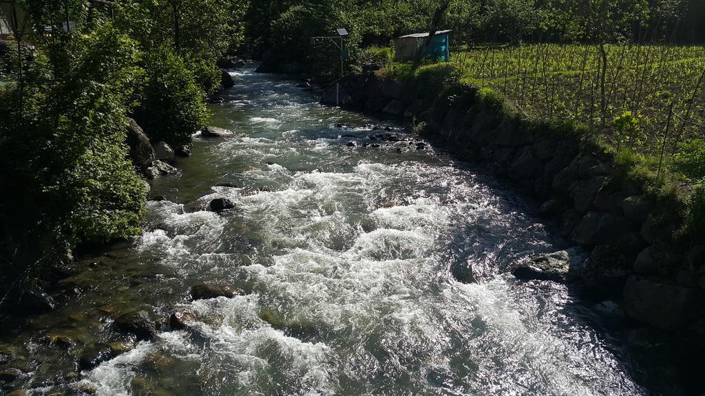 Adas Bungalov Dag Evi Aralık Dış mekan fotoğraf