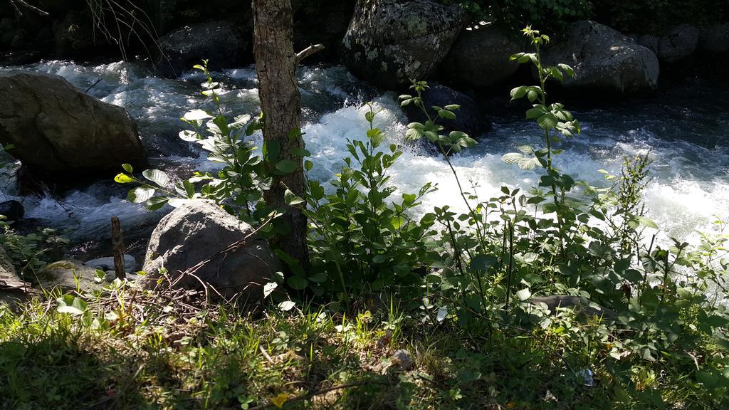 Adas Bungalov Dag Evi Aralık Dış mekan fotoğraf