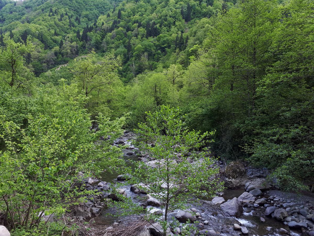 Adas Bungalov Dag Evi Aralık Dış mekan fotoğraf